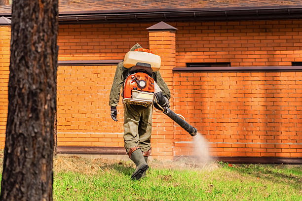 Trusted Bed Bug Control service in Ponderosa Pine, NM - Nex Pest Control